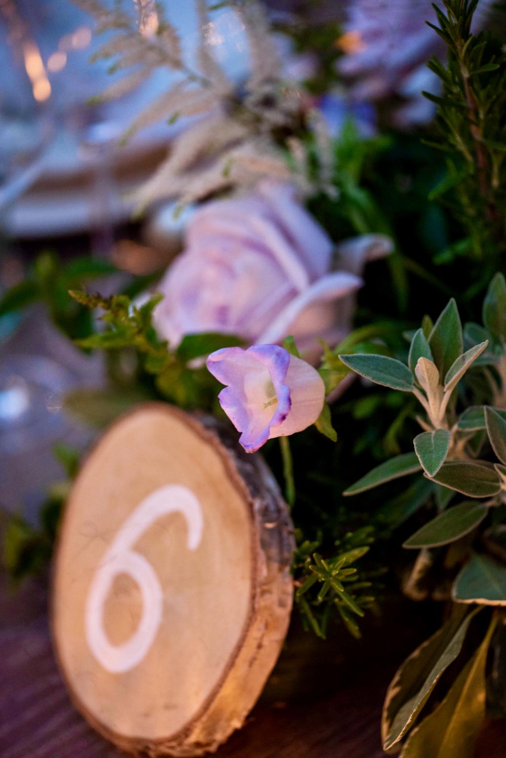 PE&N Sinterina wedding - Image 20