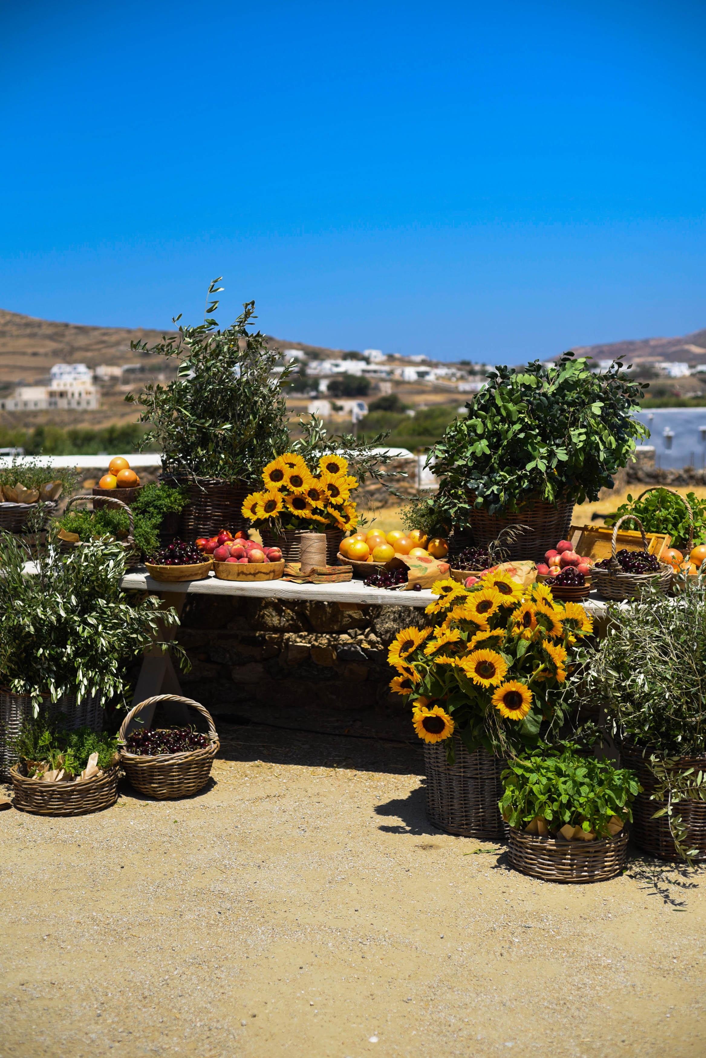 E&C Mykonos wedding - Image 29