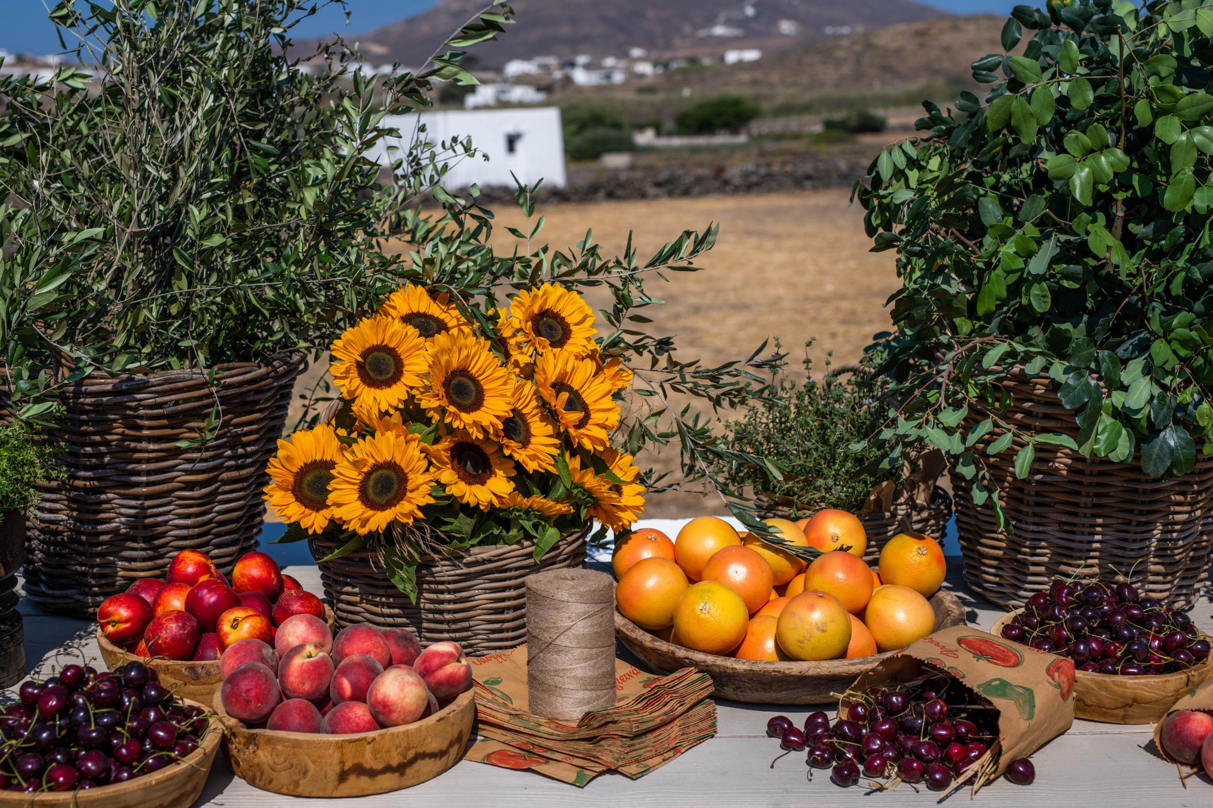 E&C Mykonos wedding - Image 55