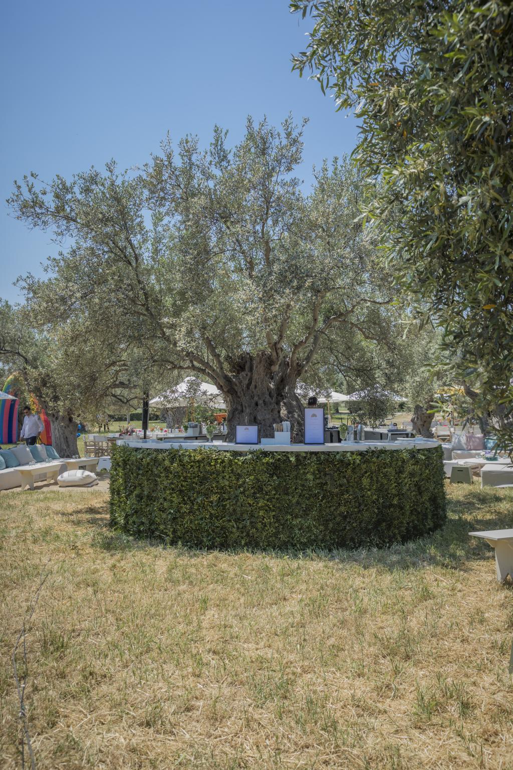 A Countryside christening - Image 57