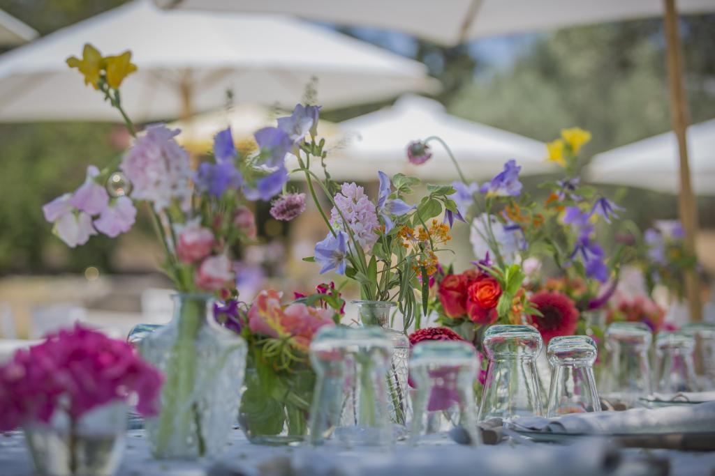 A Countryside christening - Image 40