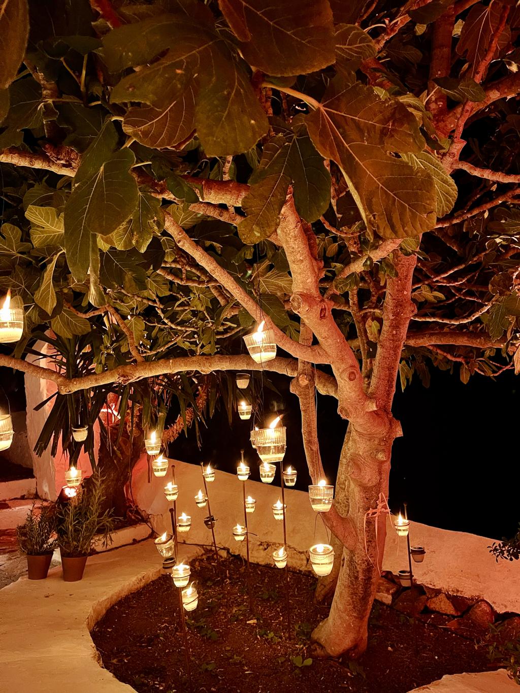 N&J Patmos wedding - Image 32