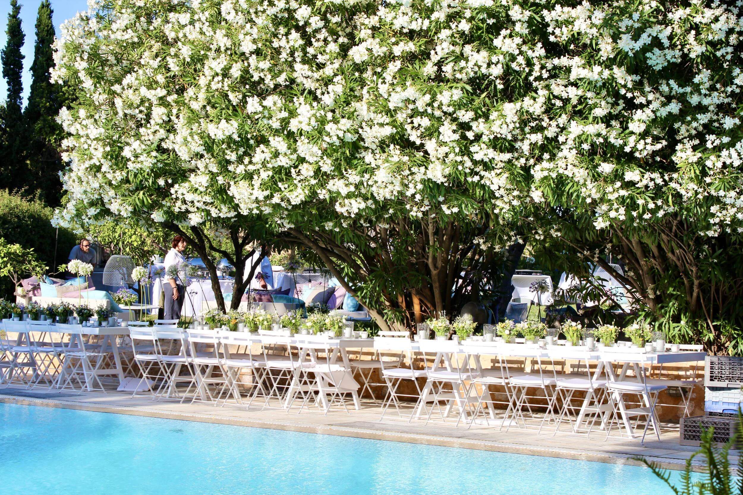 D&G Sounio wedding - Image 1