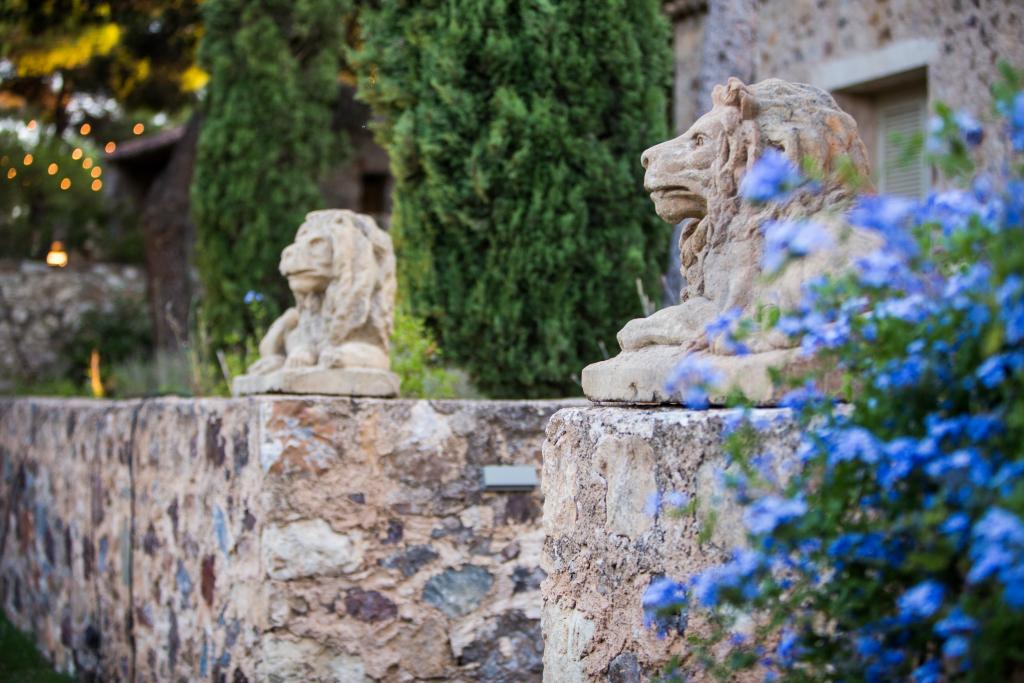 P&N Sinterina wedding - Image 1