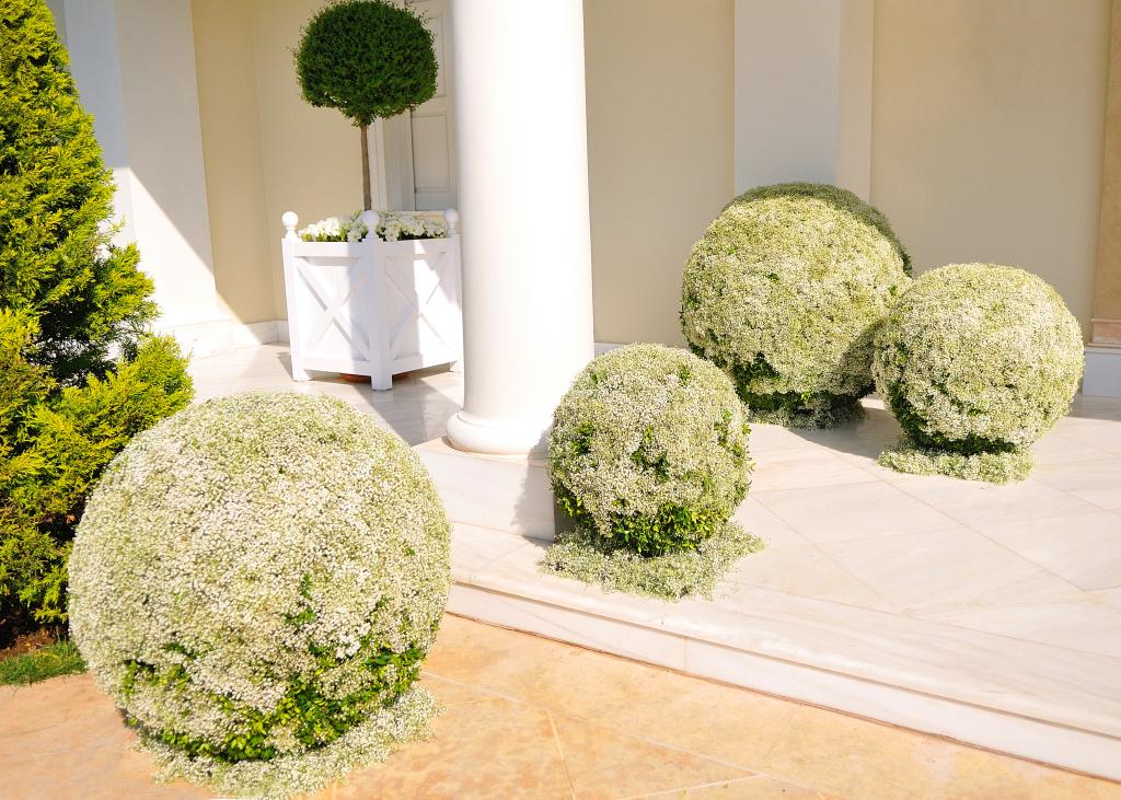 E&J Athens wedding - Image 7