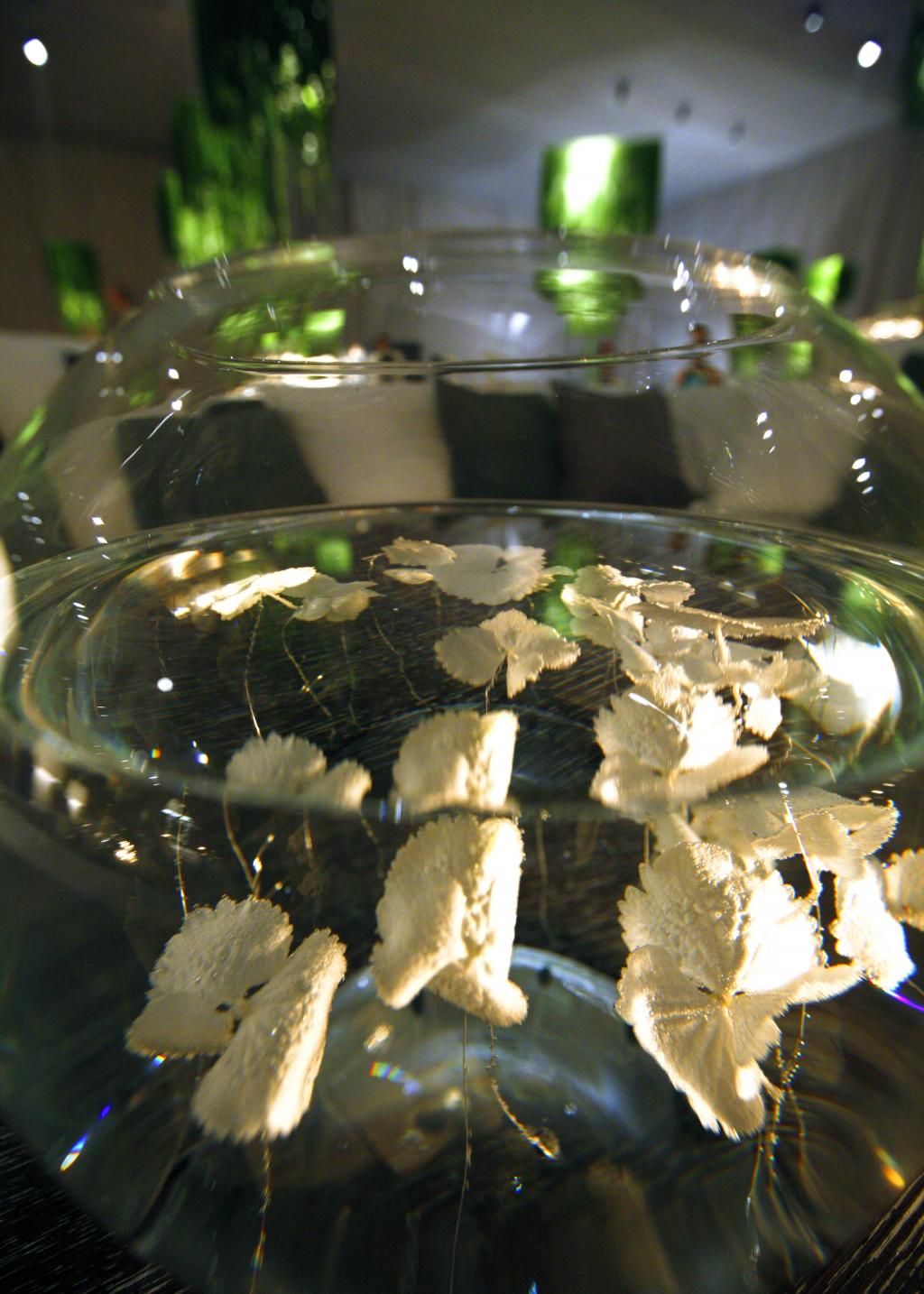 E&J Athens wedding - Image 42