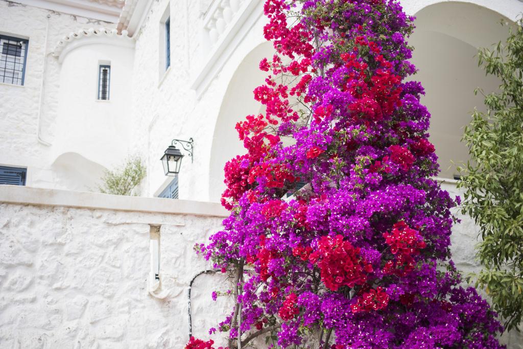 M&AJ Spetses wedding - Image 1
