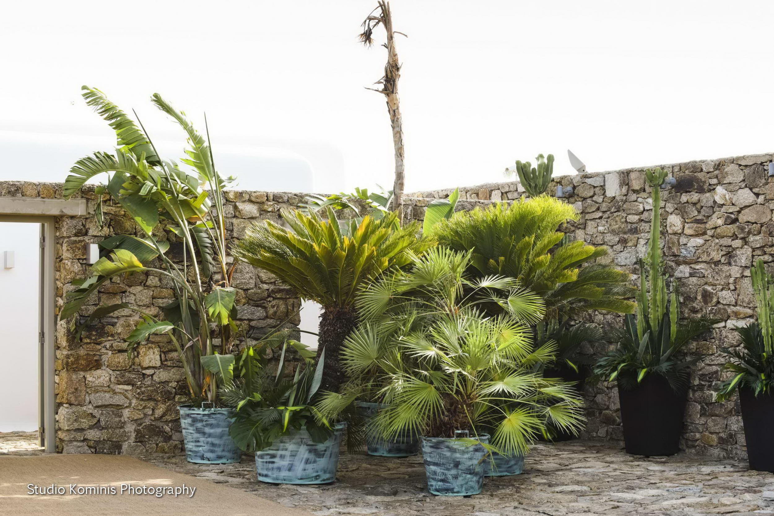 E&T Mykonos wedding - Image 1