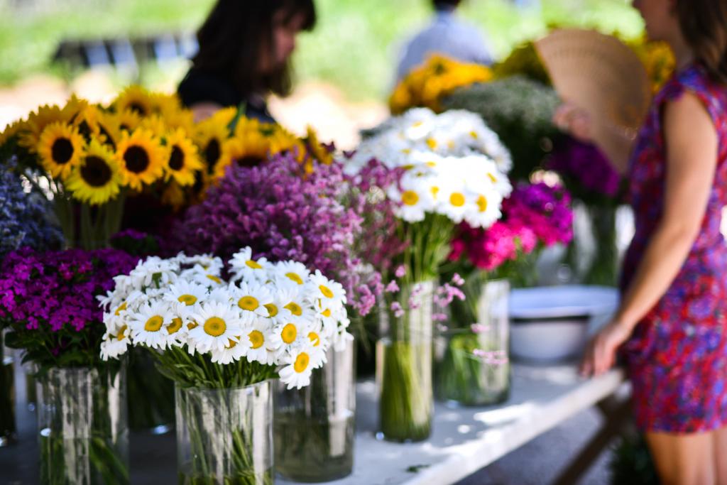 N&M Sinterina wedding - Image 7