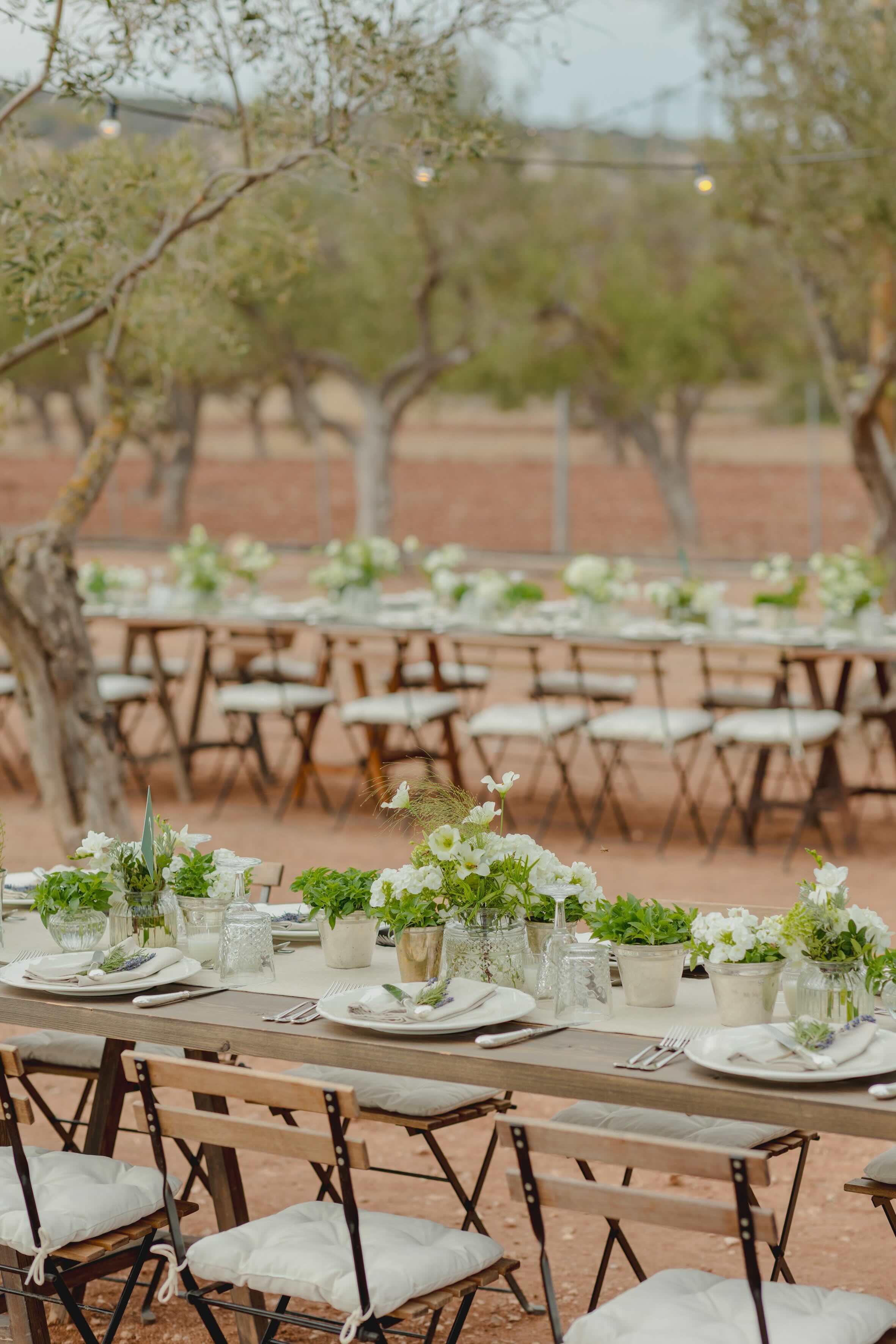 S&M Athens wedding - Image 26
