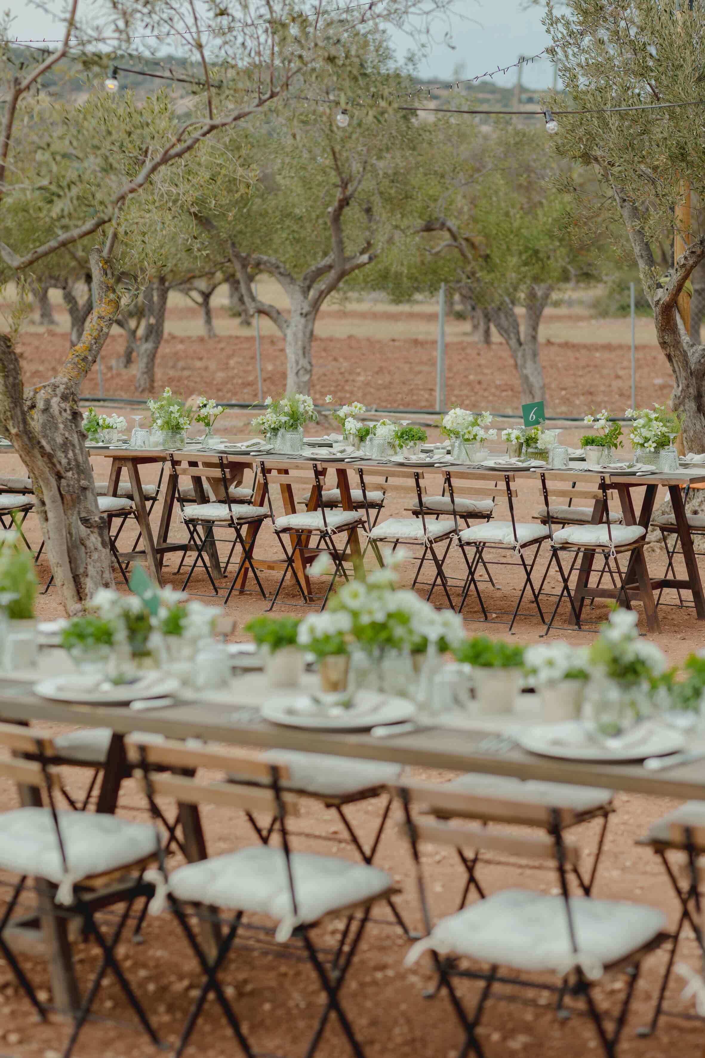 S&M Athens wedding - Image 27
