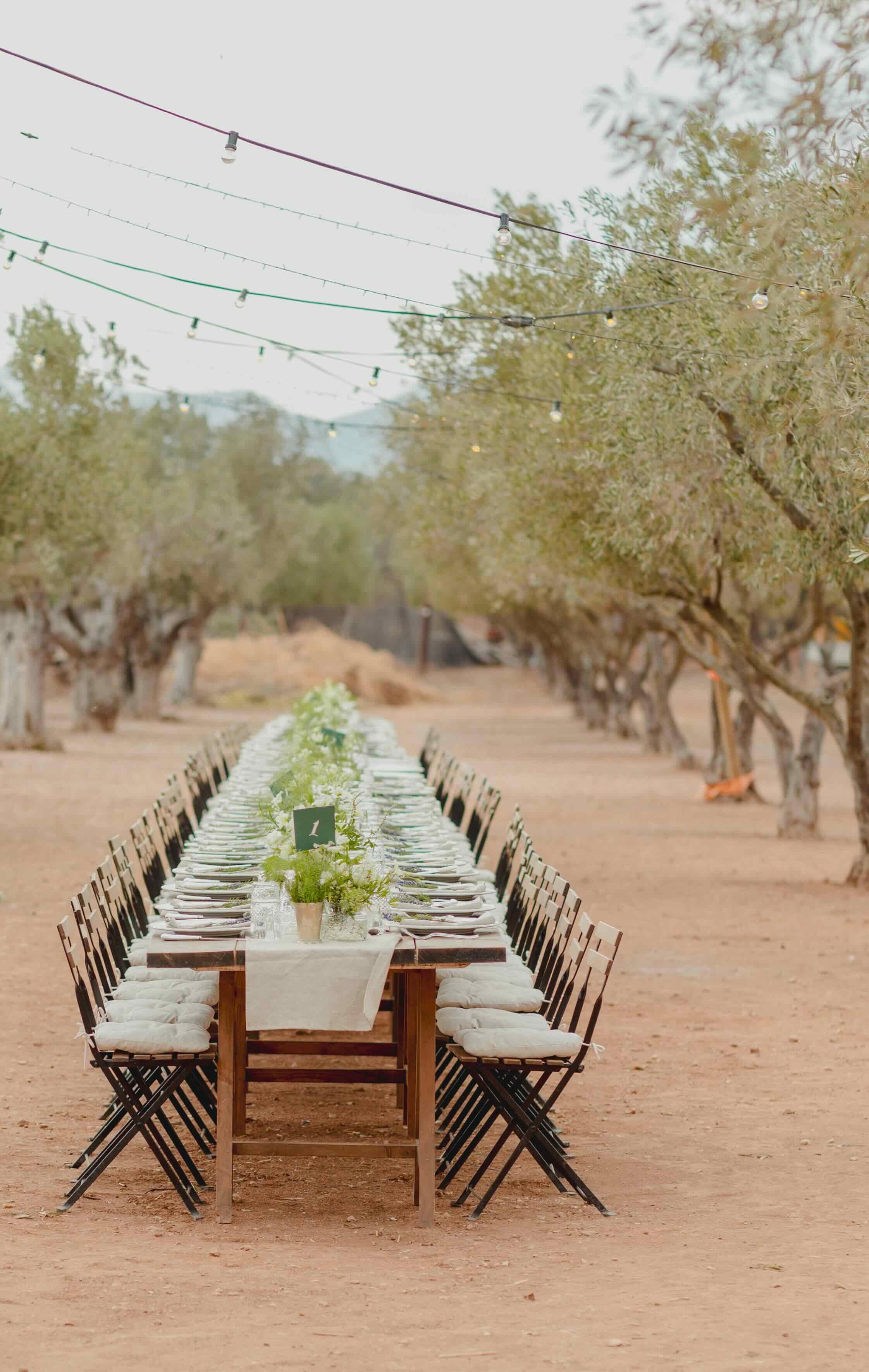 S&M Athens wedding - Image 21