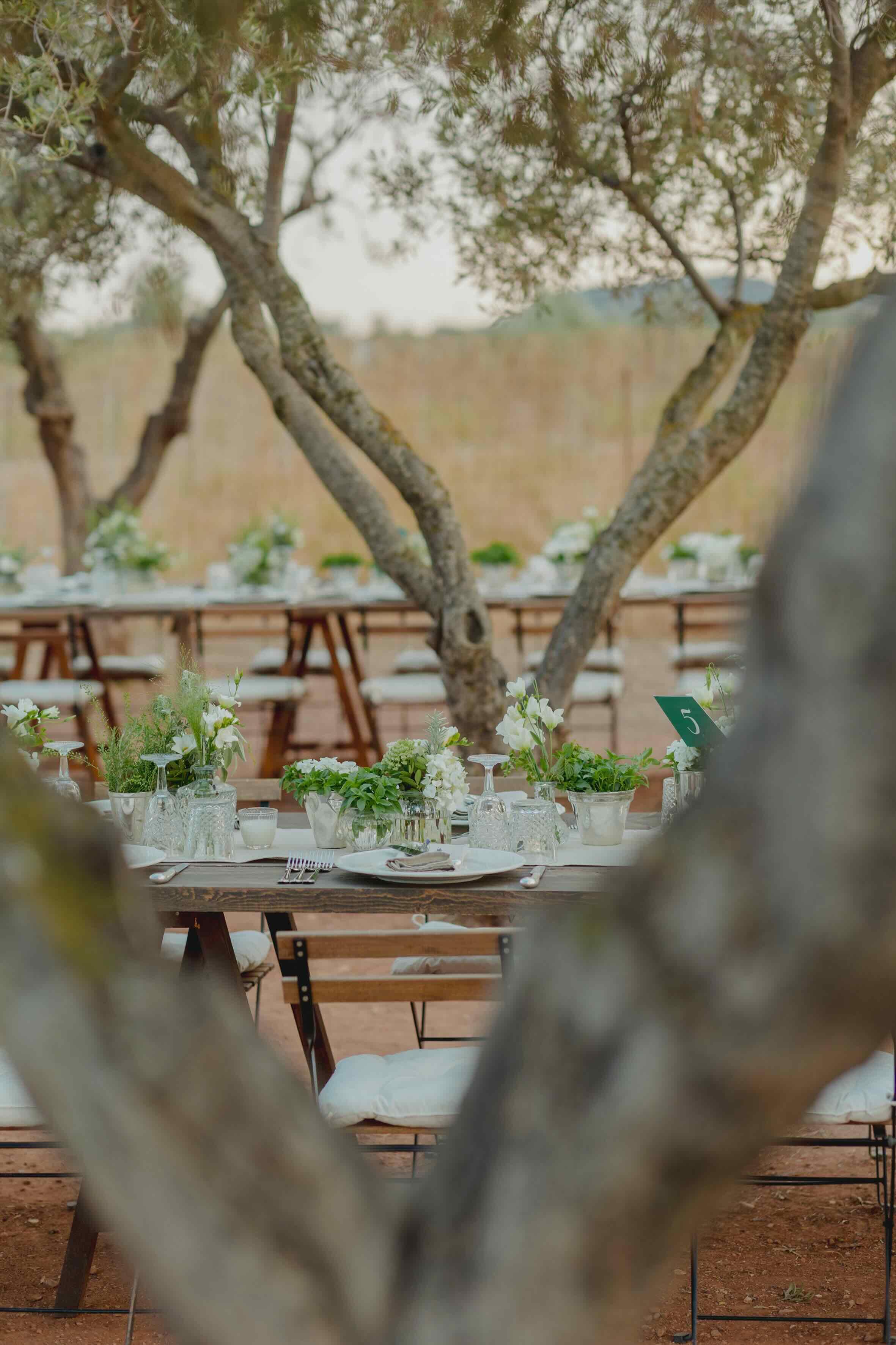 S&M Athens wedding - Image 30