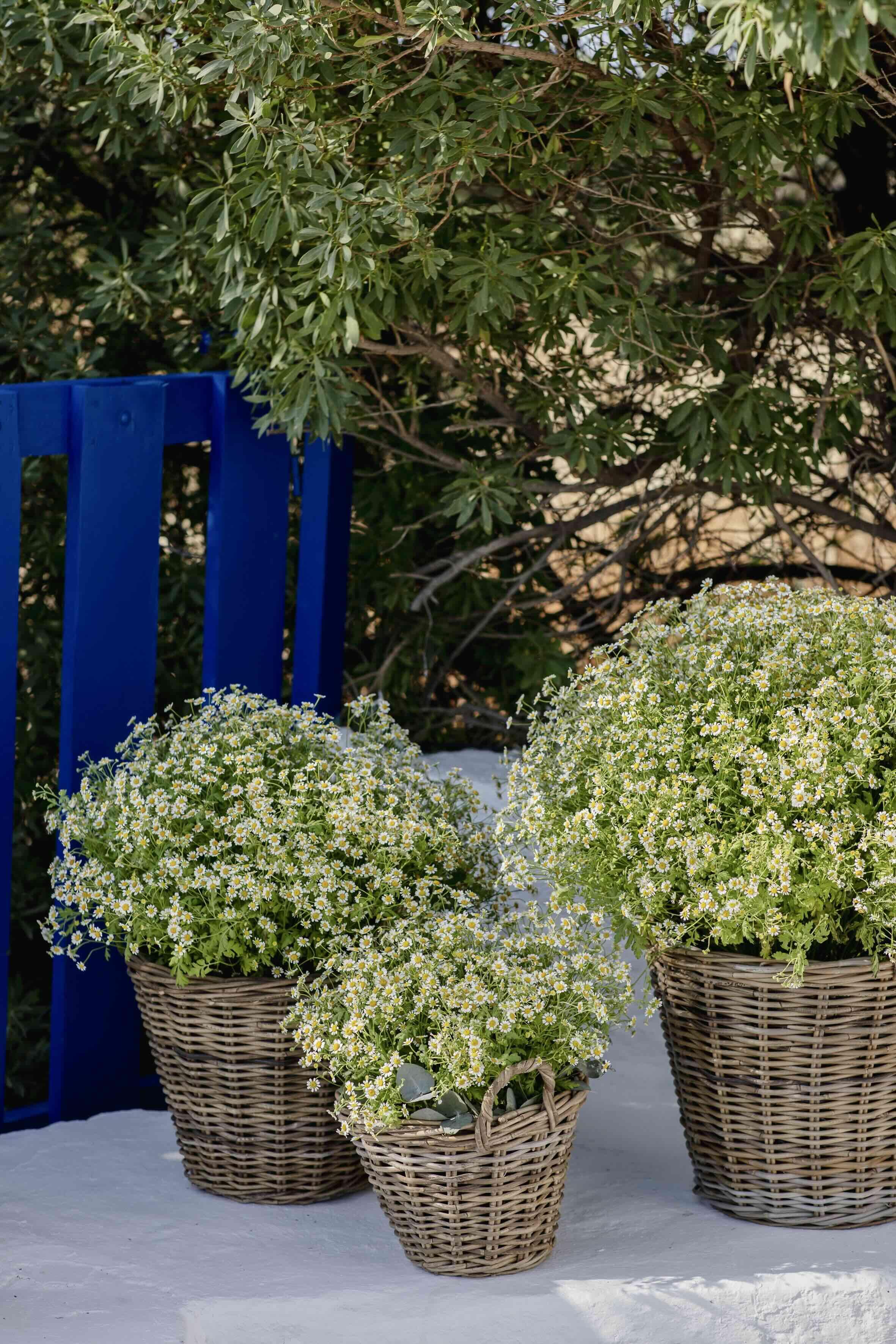 D Antiparos christening - Image 14