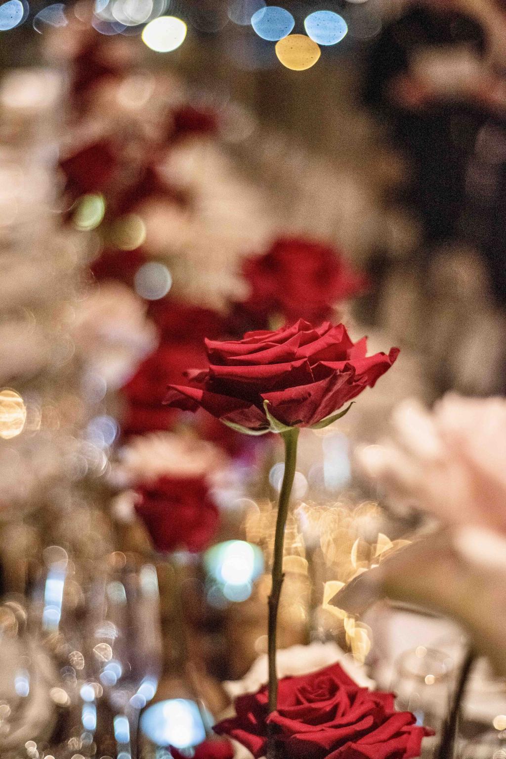 L&F SNFCC wedding - Image 47