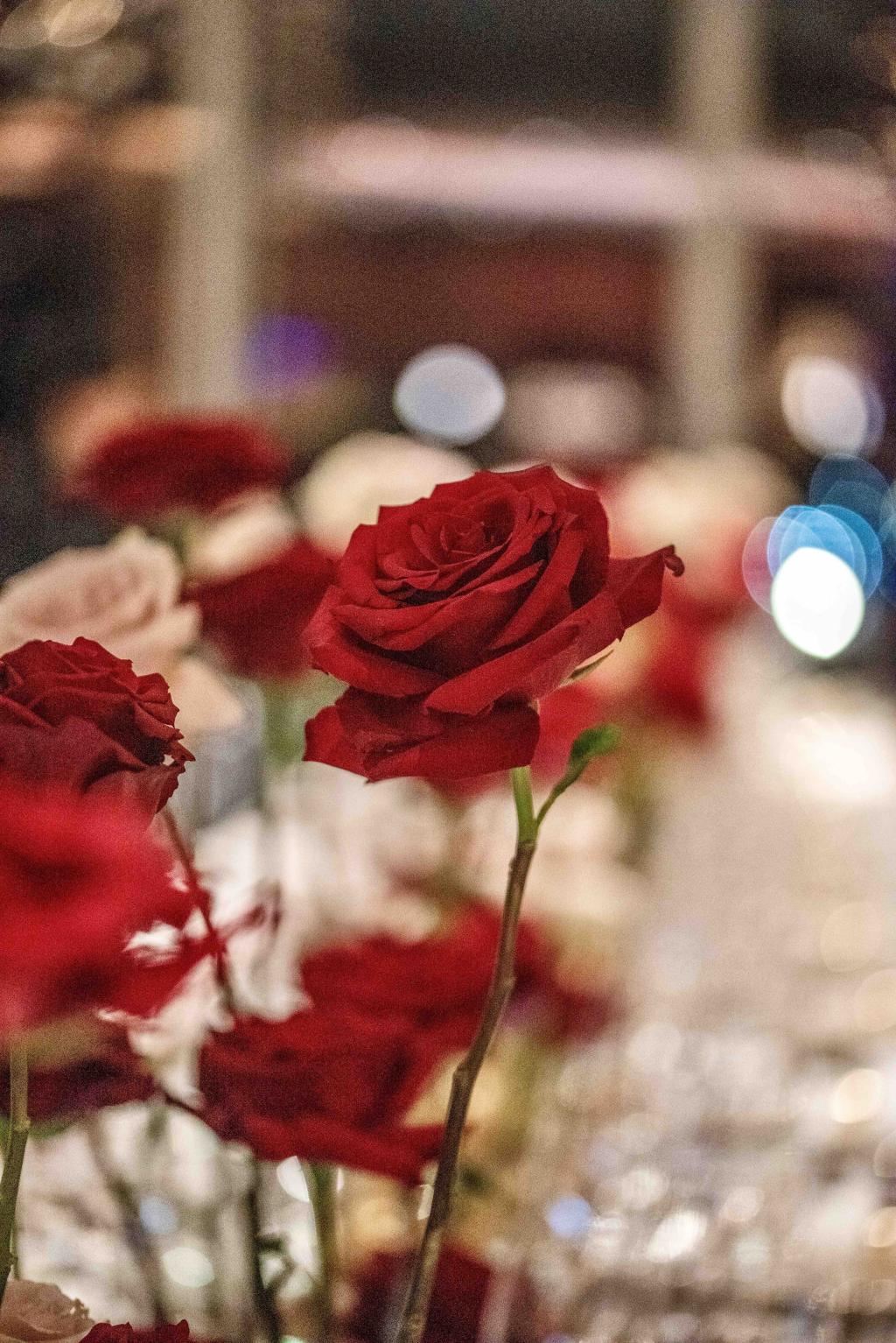 L&F SNFCC wedding - Image 25